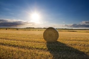 straw bales
